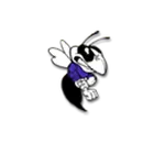 Chelsea High School logo