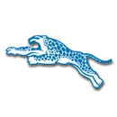 Blue Springs South High School logo