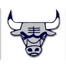 Anderson Co. High School logo